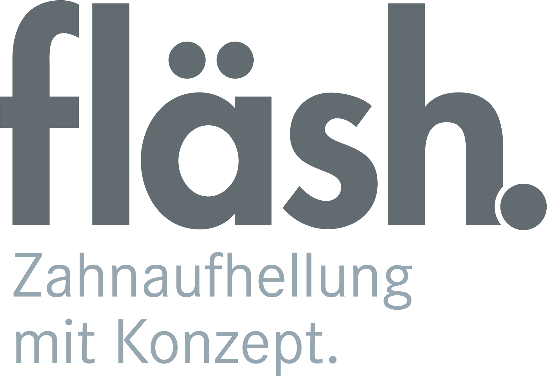 fläsh logo