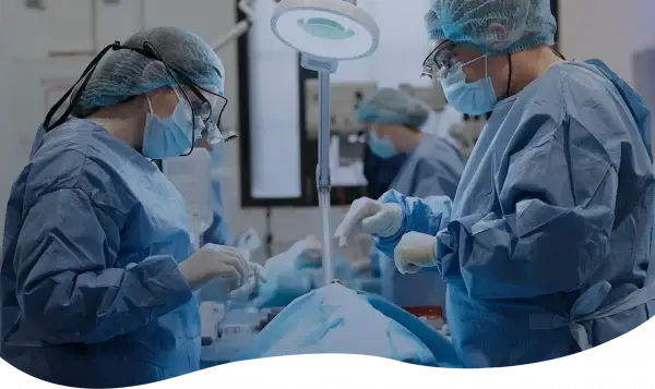 FUNDAMENTAL Remscheid bietet Fortbildungen in Zahnmedizin, Zahntechnik, Curricula & für dentales Fachpersonal – lebendig, praxisnah & persönlich.