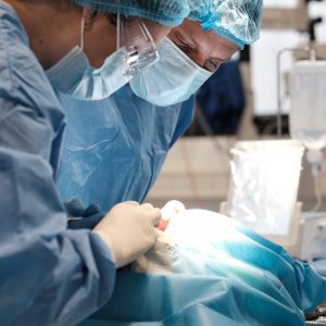 Implantology & Bone Regeneration